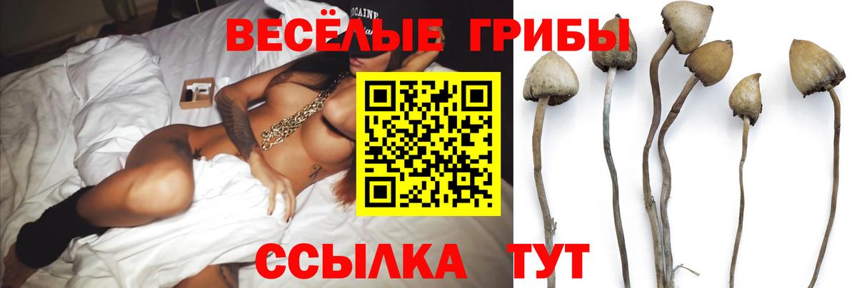 Псилоцибиновые грибы MAGIC MUSHROOMS Пугачёв