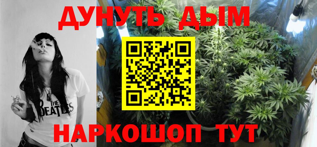 Канабис тримм  Вход с VPN  Канабис White Widow  Пугачёв  Канабис индика 
